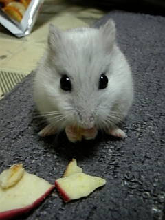 gт